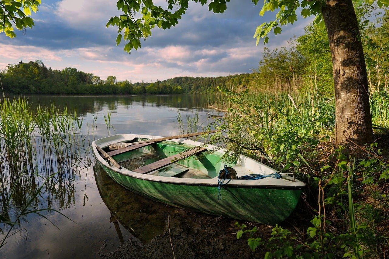 Divé kvetinové pole so zelenou lúkou a modrým nebom